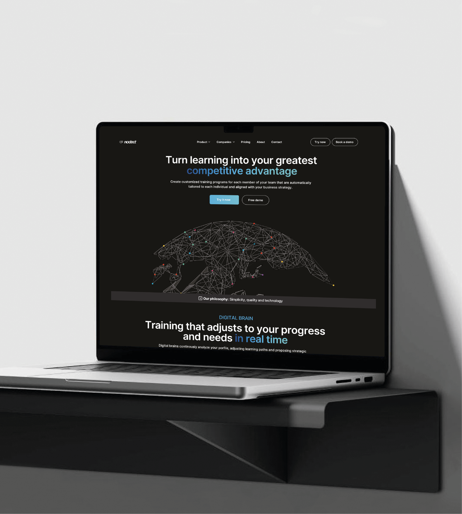 Disseny web